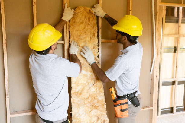 Insulation Replacement Services in Albia, IA